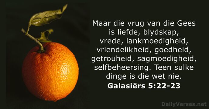 Galasiërs 5:22-23