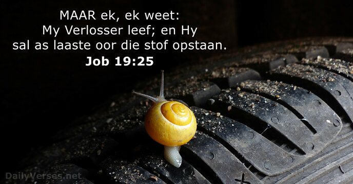 Job 19:25