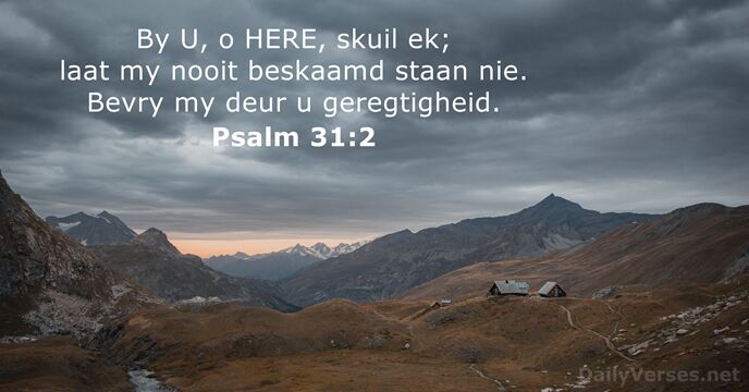 By U, o HERE, skuil ek; laat my nooit beskaamd staan nie… Psalm 31:2