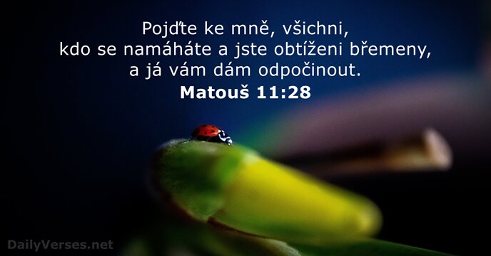 Matouš 11:28