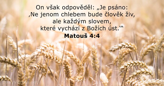 Matouš 4:4
