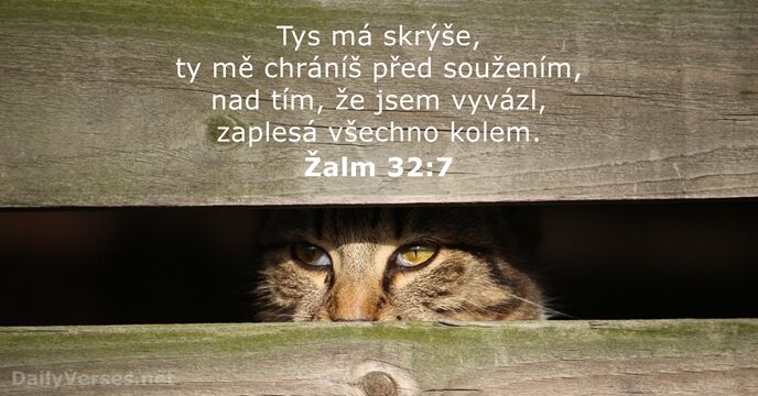 Žalm 32:7