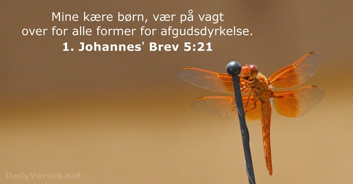 1. Johannesʼ Brev 5:21