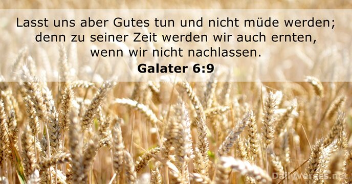 Galater 6:9