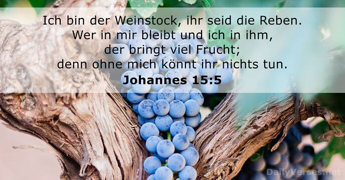 Ich bin der Weinstock, ihr seid die Reben. Wer in mir bleibt… Johannes 15:5