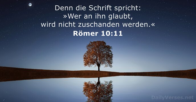 Denn die Schrift spricht: »Wer an ihn glaubt, wird nicht zuschanden werden.« Römer 10:11