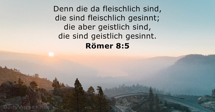 Römer 8:5