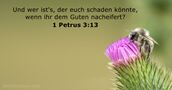 1 Petrus 3:13