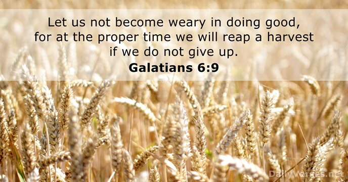 galatians-6-9-bible-verse-of-the-day-dailyverses