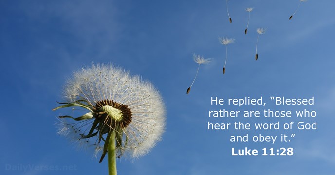 Luke 11:28 - Bible verse of the day - DailyVerses.net