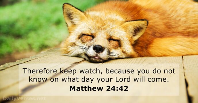 matthew-24-42-bible-verse-of-the-day-dailyverses