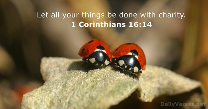 Let all your things be done with charity. 1 Corinthians 16:14