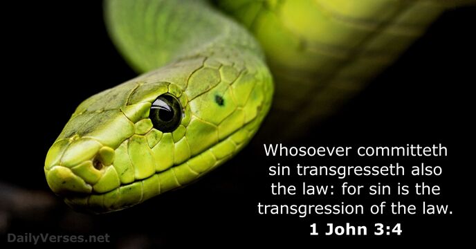 Whosoever committeth sin transgresseth also the law: for sin is the transgression… 1 John 3:4