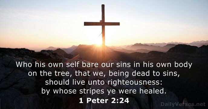 Who his own self bare our sins in his own body on… 1 Peter 2:24