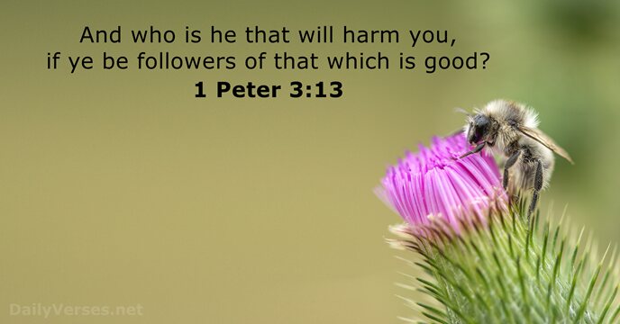 And who is he that will harm you, if ye be followers… 1 Peter 3:13