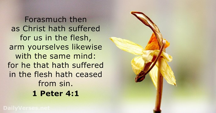 Forasmuch then as Christ hath suffered for us in the flesh, arm… 1 Peter 4:1