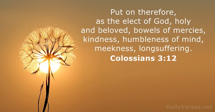 Put on therefore, as the elect of God, holy and beloved, bowels… Colossians 3:12