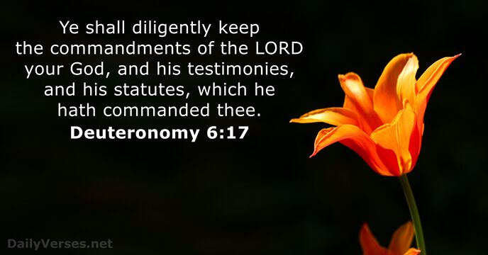 Ye shall diligently keep the commandments of the LORD your God, and… Deuteronomy 6:17