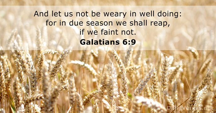 And let us not be weary in well doing: for in due… Galatians 6:9