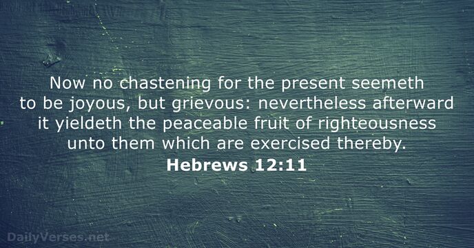 Now no chastening for the present seemeth to be joyous, but grievous:… Hebrews 12:11