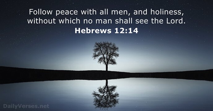 Follow peace with all men, and holiness, without which no man shall… Hebrews 12:14