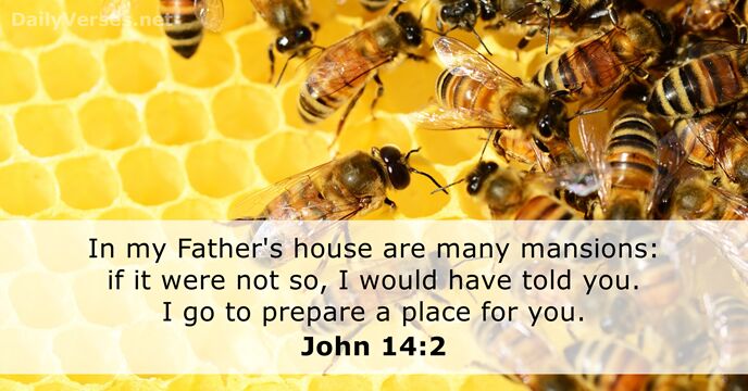 In my Father's house are many mansions: if it were not so… John 14:2