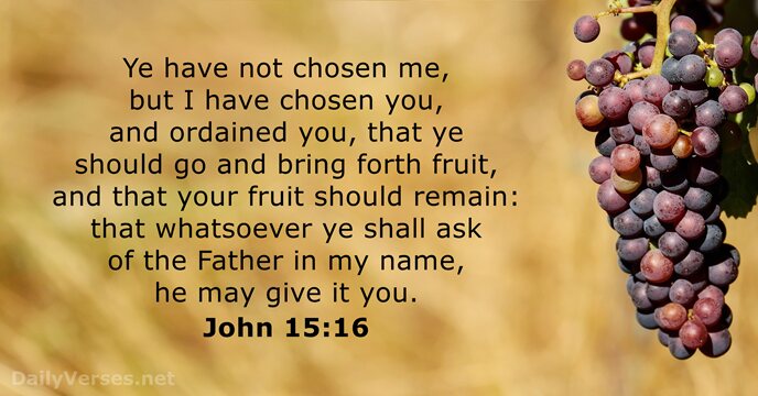 Ye have not chosen me, but I have chosen you, and ordained… John 15:16