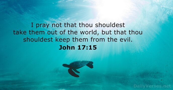 I pray not that thou shouldest take them out of the world… John 17:15