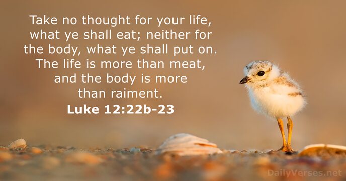 Take no thought for your life, what ye shall eat; neither for… Luke 12:22b-23