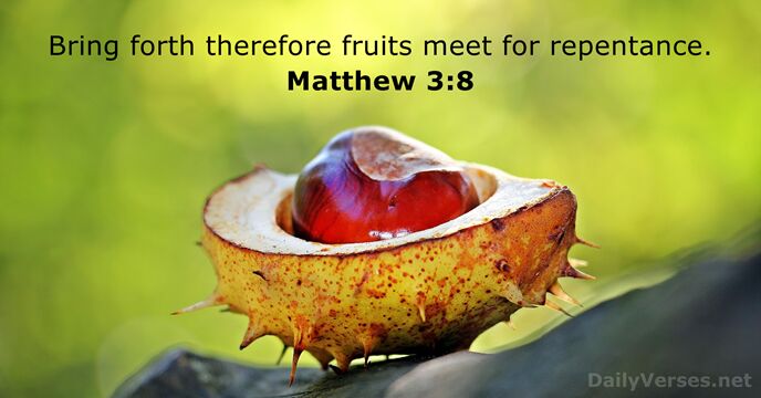 Bring forth therefore fruits meet for repentance. Matthew 3:8