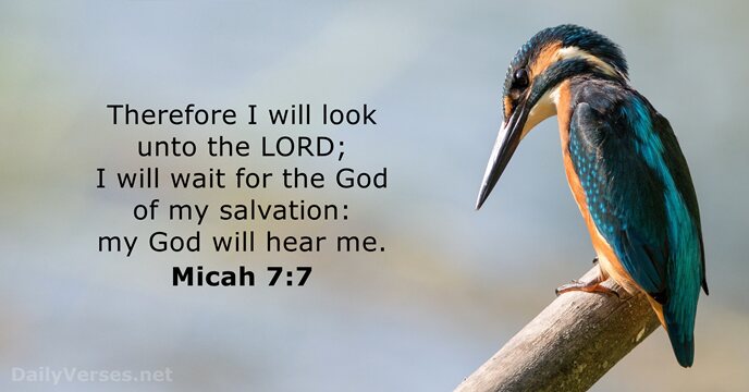 Therefore I will look unto the LORD; I will wait for the… Micah 7:7