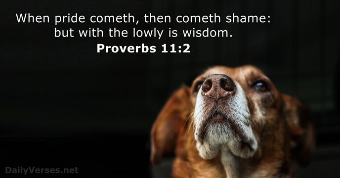 When pride cometh, then cometh shame: but with the lowly is wisdom. Proverbs 11:2