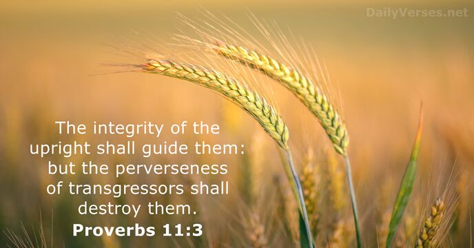 The integrity of the upright shall guide them: but the perverseness of… Proverbs 11:3