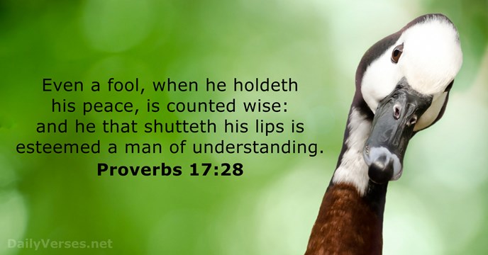 Even a fool, when he holdeth his peace, is counted wise: and… Proverbs 17:28