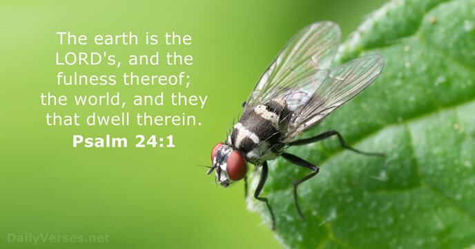 The earth is the LORD's, and the fulness thereof; the world, and… Psalm 24:1