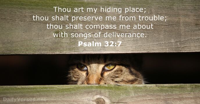 Thou art my hiding place; thou shalt preserve me from trouble; thou… Psalm 32:7