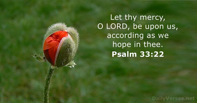 Let thy mercy, O LORD, be upon us, according as we hope in thee. Psalm 33:22
