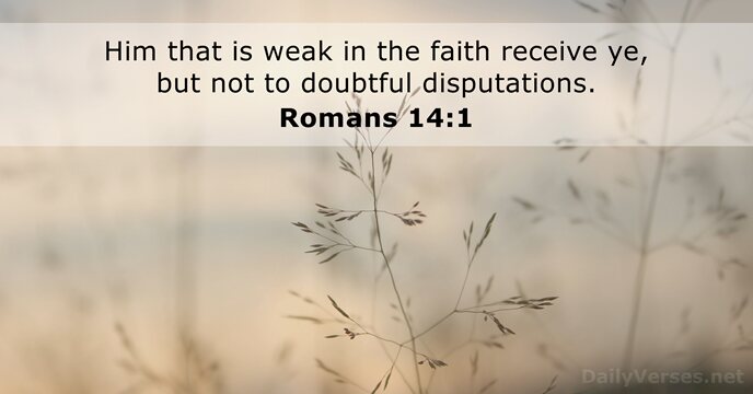 Him that is weak in the faith receive ye, but not to doubtful disputations. Romans 14:1