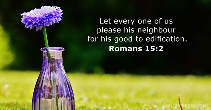 Let every one of us please his neighbour for his good to edification. Romans 15:2