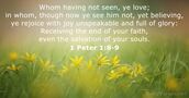 1 Peter 1:8-9
