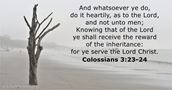 Colossians 3:23-24
