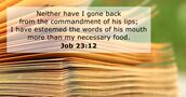 Job 23:12