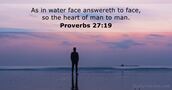 Proverbs 27:19