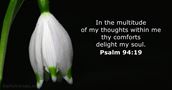 Psalm 94:19