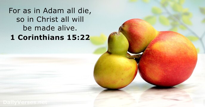 For as in Adam all die, so in Christ all will be made alive. 1 Corinthians 15:22