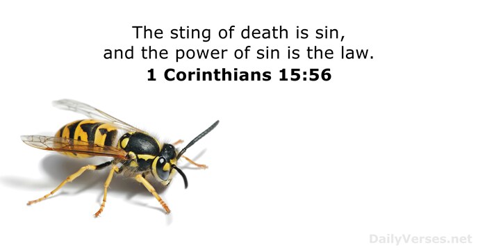 The sting of death is sin, and the power of sin is the law. 1 Corinthians 15:56