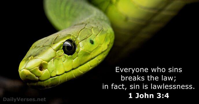 Everyone who sins breaks the law; in fact, sin is lawlessness. 1 John 3:4