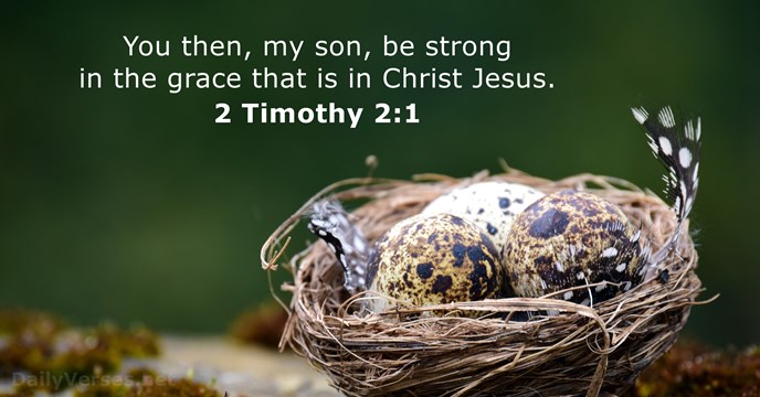 You then, my son, be strong in the grace that is in Christ Jesus. 2 Timothy 2:1