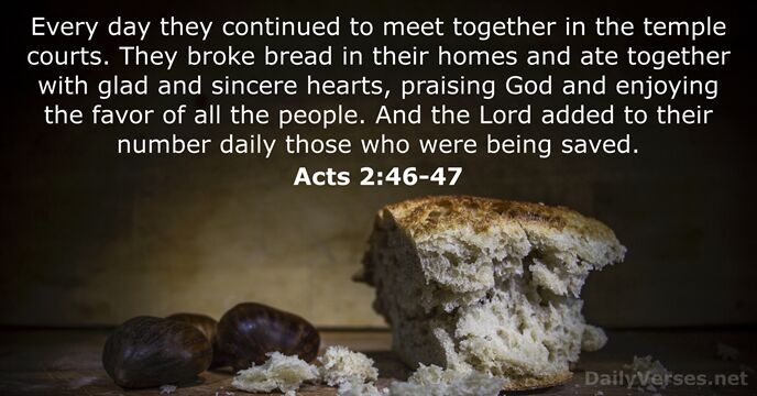 Every day they continued to meet together in the temple courts. They… Acts 2:46-47