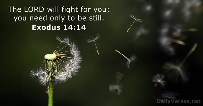 The LORD will fight for you; you need only to be still. Exodus 14:14